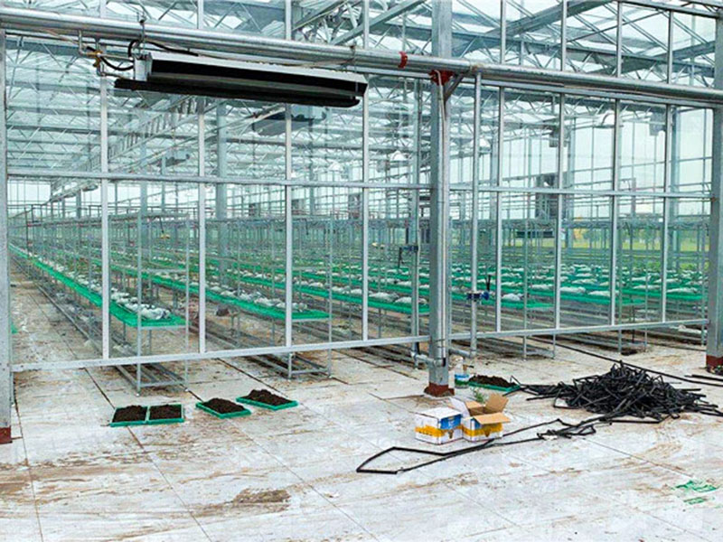 連棟溫室