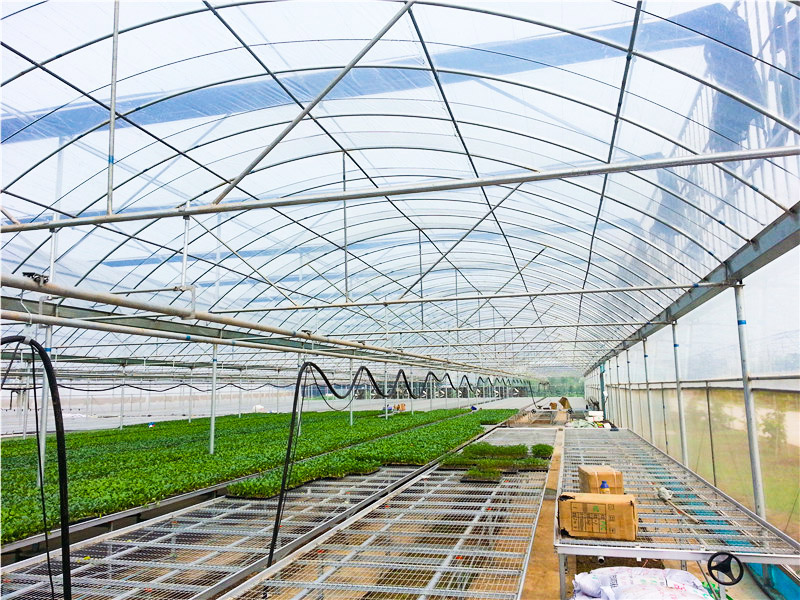 薄膜溫室