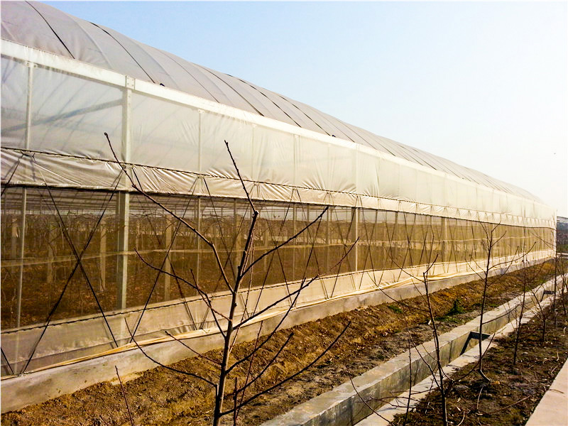 薄膜溫室