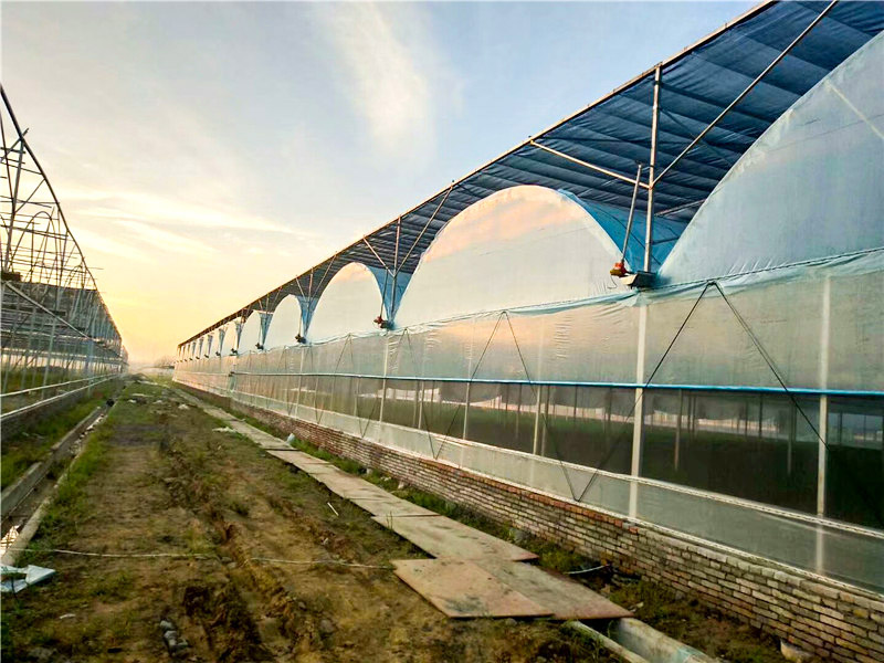 薄膜溫室