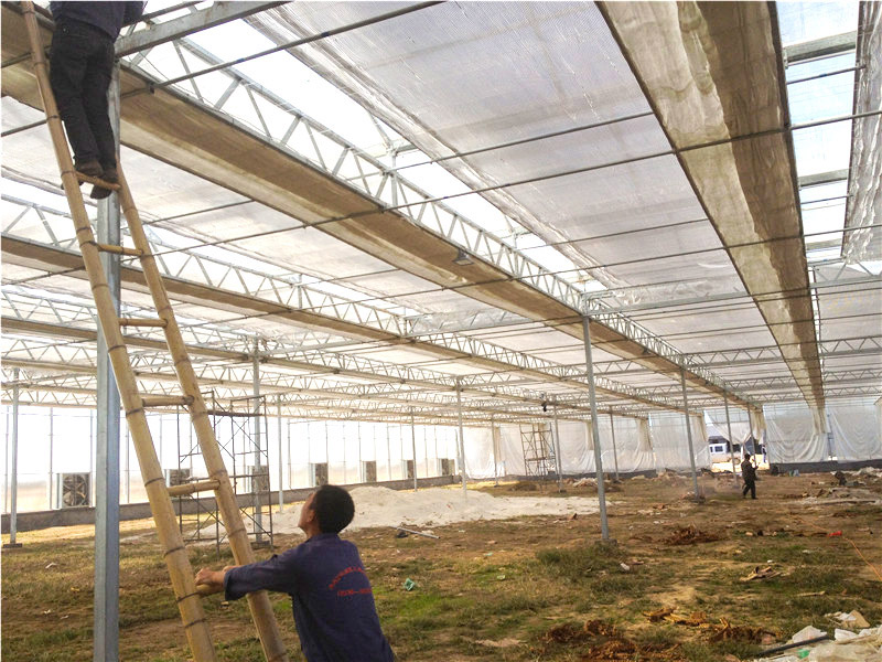 陽(yáng)光板(pc板)溫室