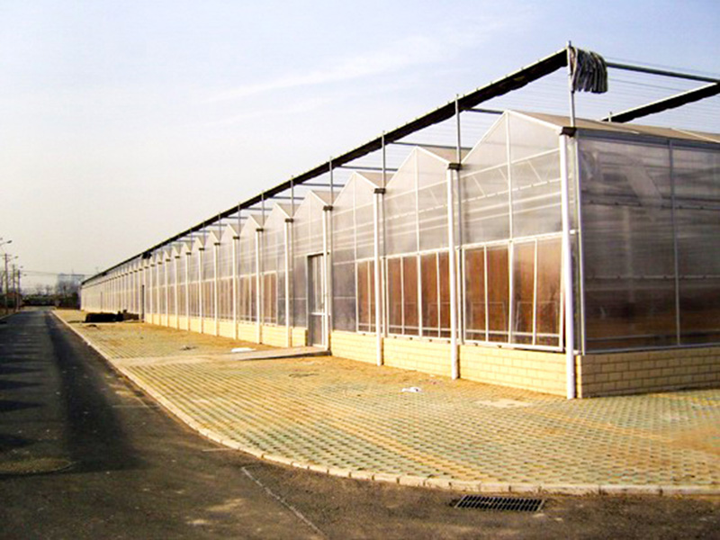 陽(yáng)光板(pc板)溫室