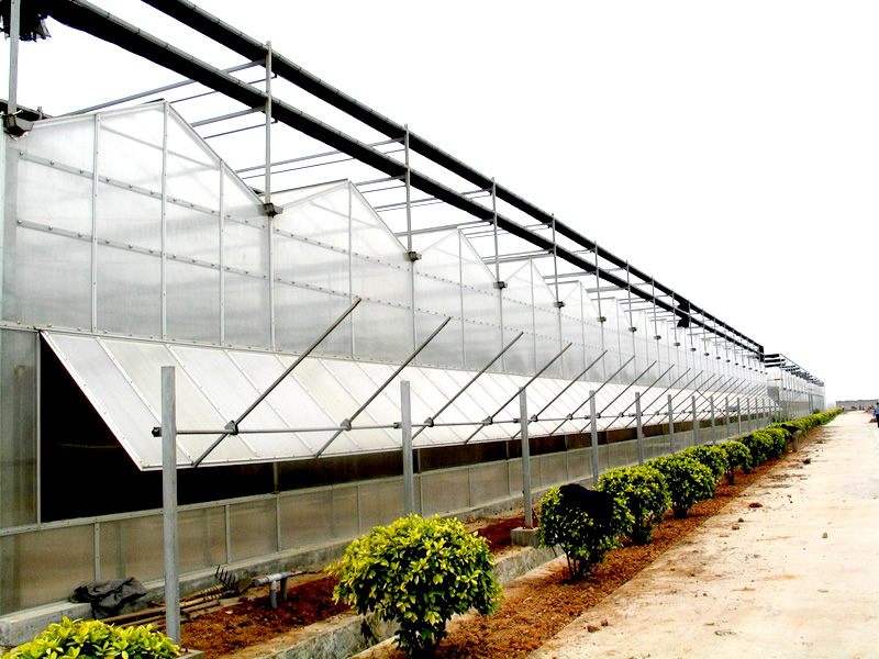陽(yáng)光板(pc板)溫室