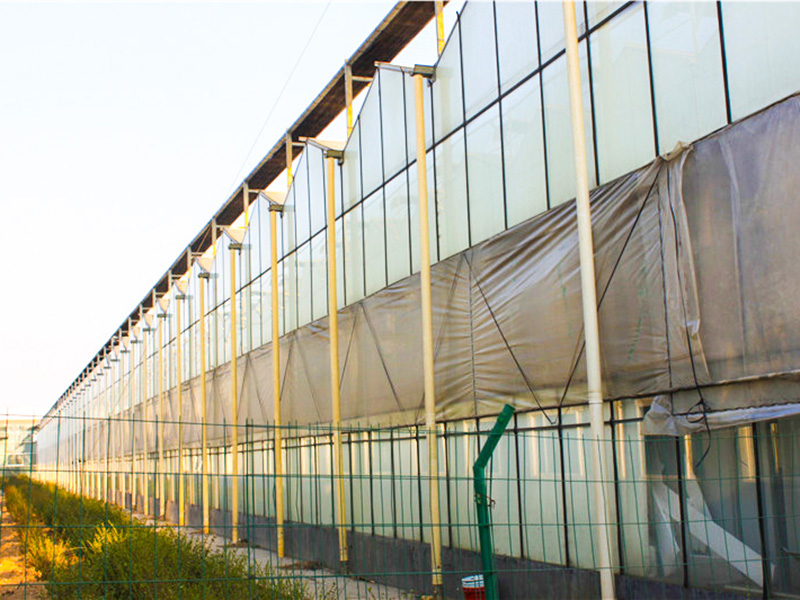 陽(yáng)光板(pc板)溫室