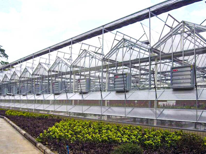玻璃溫室